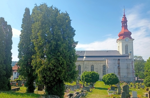 Kostel sv. Petra a Pavla ve Volfarticích